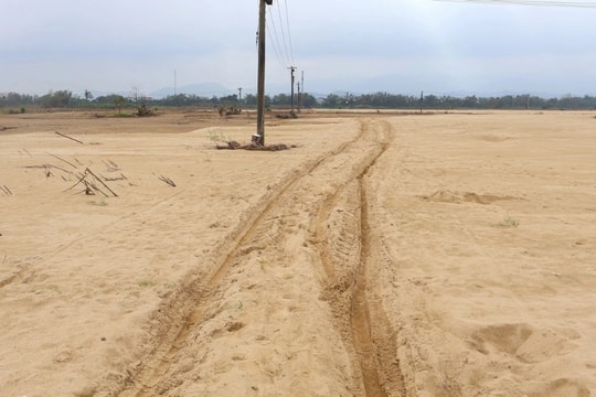 Đồng ruộng như sa mạc, cát phủ dày cả mét sau lũ