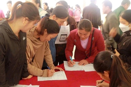 8.500 lao động thuộc hộ nghèo, cận nghèo được hỗ trợ kết nối việc làm