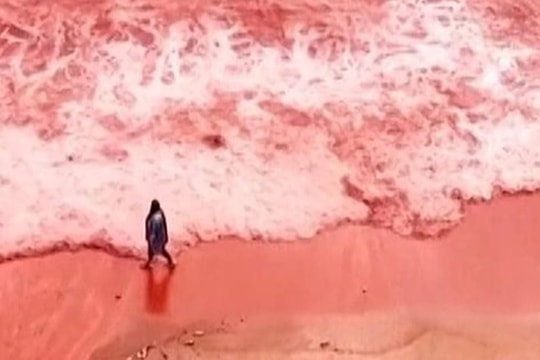 Sau đợt mưa lớn, cảnh bãi biển đỏ rực như máu khiến nhiều người bị sốc