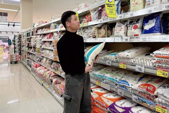 Lao động Việt ở Nhật, Hàn chật vật thời bão giá