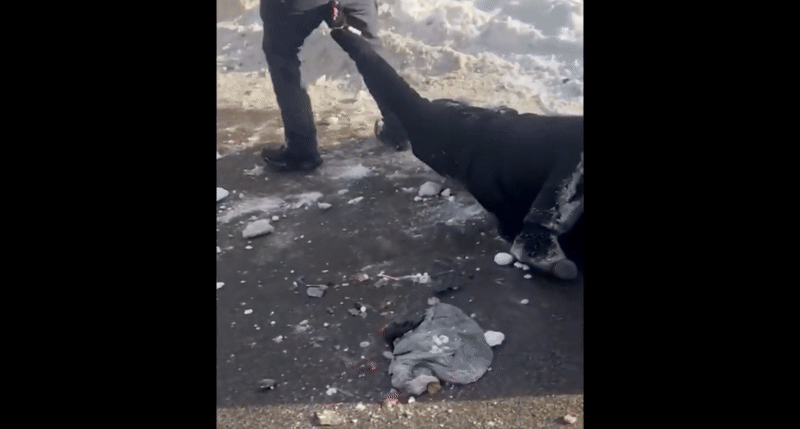 Đặc vụ ICE hứng chỉ trích vì kéo lê phụ nữ trên đường