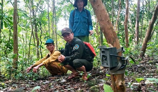 Bẫy ảnh giám sát đa dạng sinh học tại Mỹ Sơn