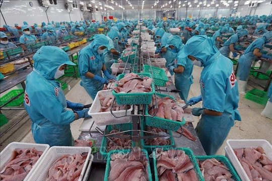 Brazil tuyên bố khởi động đàm phán PTA Mercosur với Việt Nam