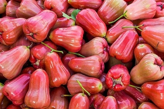 Quả mận miền Nam là quả gì miền Bắc?