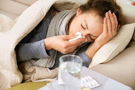 Cúm gia cầm nguy cơ trỗi dậy