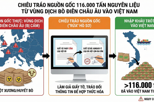 Chiêu tráo nguồn gốc 116.000 tấn nguyên liệu từ vùng dịch bò điên châu Âu