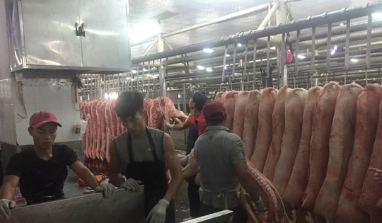 Giá heo hơi hôm nay, 21-12: Heo mảng tại chợ đầu mối lập đỉnh mới