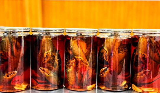 Đặc sản cua gạch Cà Mau ngâm nước mắm giá gần 1 triệu đồng/kg