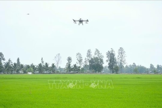 FAO đánh giá cao tiến bộ của Việt Nam trong phát triển nông nghiệp bền vững