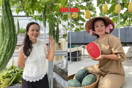Người phụ nữ 'biến' sân thượng thành khu vườn nông sản bốn mùa