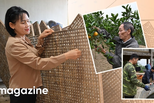 Phát triển nông nghiệp hàng hóa để giúp người dân thoát nghèo