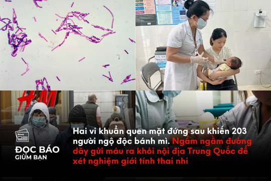 Hai vi khuẩn quen mặt là thủ phạm khiến 203 người ngộ độc bánh mì. Ngấm ngầm đường dây gửi máu ra khỏi nội địa Trung Quốc để xét nghiệm giới tính thai nhi