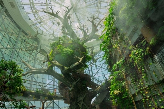 Khu rừng nhiệt đới đầu tiên nằm giữa sa mạc ở Dubai