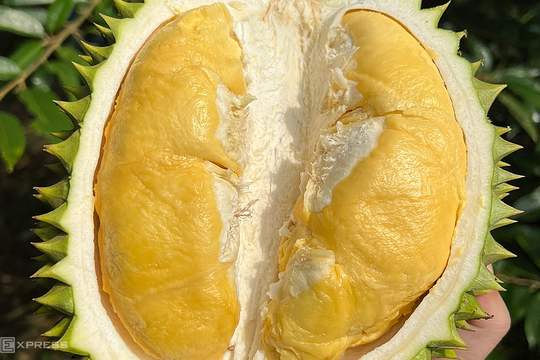 Xuất khẩu rau quả sang Thái Lan giảm mạnh