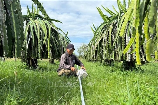 Khắc phục cơ sở hạ tầng, ổn định cuộc sống của nhân dân miền Trung sau bão lũ