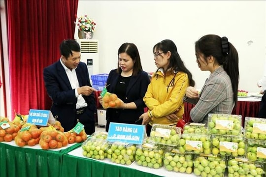 Kết nối nông sản vùng đồng bằng sông Hồng, hướng tới thị trường Tết