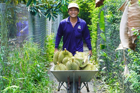 Cà phê, sầu riêng bứt phá đưa nông sản lập kỷ lục mới