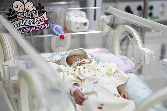 Bé sinh non 300 gram xuất viện sau tiên lượng 'cơ hội sống dưới 1%'