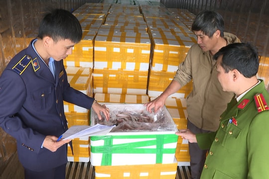 Cảnh sát chặn bắt ôtô chở 10 tấn cá khoai Trung Quốc ướp formol