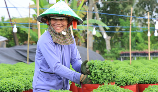 Tôn vinh nghề trồng hoa - kiểng