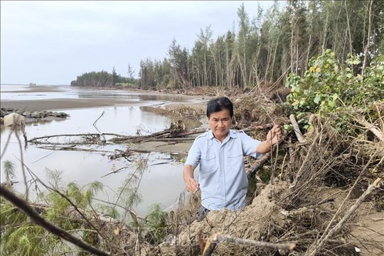 Hơn 9 km bờ biển Vĩnh Long bị sạt lở nghiêm trọng