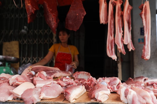 Giá heo hơi tăng lên 70.000 đồng một kg