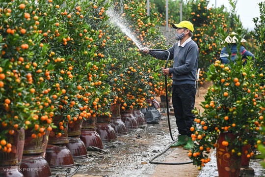 Đề xuất hoán đổi để nghỉ Tết Dương lịch 4 ngày