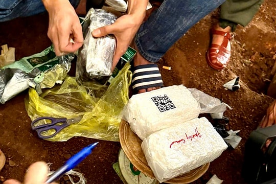 Cảnh sát đào xới khu vườn tìm ma túy của băng tội phạm