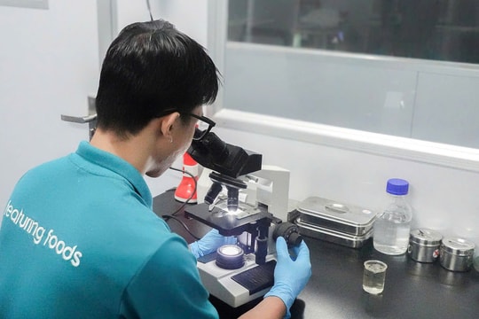 Áp dụng kỹ thuật nuôi hiện đại đảm bảo phúc lợi cá tra