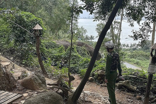 Nghi phạm đâm gục vợ bên đường bị bắt