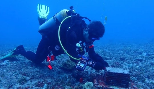 20 loài mới được phát hiện dưới đáy đại dương