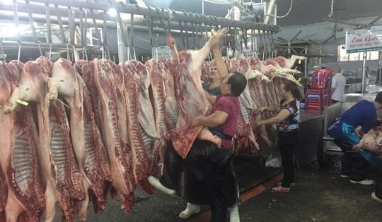 Giá heo hơi hôm nay, 24-12: Vượt mốc 70.000 đồng/kg