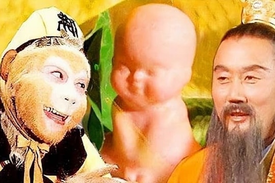 Vì sao trong Tây Du Ký chỉ Bồ Tát cứu được cây nhân sâm bị Ngộ Không quật ngã?