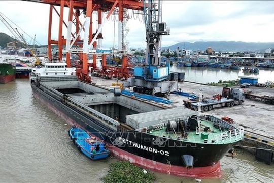 Hải quan bãi bỏ nhiều điều kiện kinh doanh không cần thiết