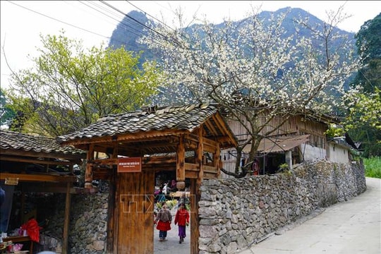 Du lịch Việt Nam 2025: Điểm sáng trong bức tranh tăng trưởng kinh tế, xã hội