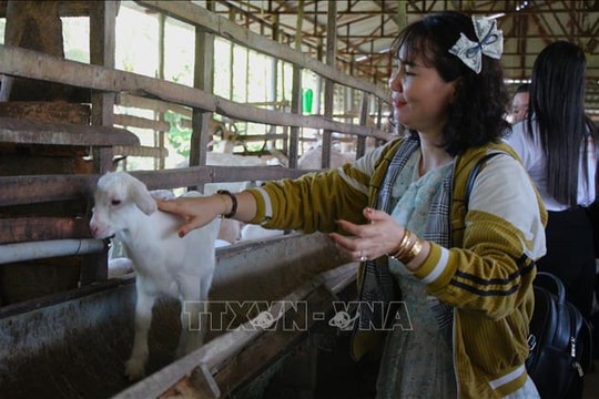 Du lịch nông thôn, làng nghề: Cần vượt qua tư duy khai thác đơn lẻ