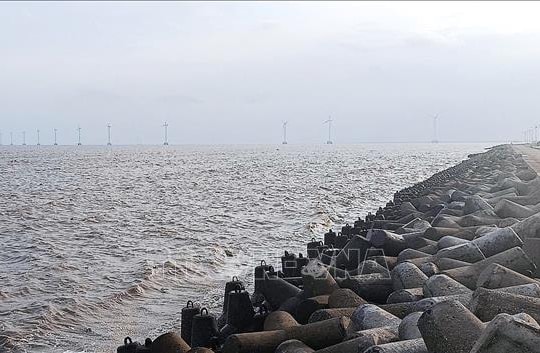 Cà Mau đầu tư 185 tỷ đồng làm kè giảm sóng