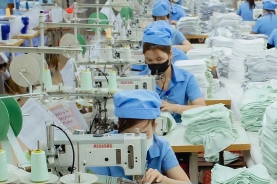 Thưởng Tết ở Quảng Ngãi cao nhất hơn 205 triệu đồng