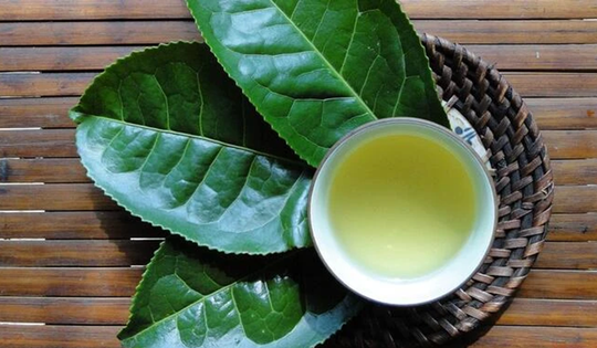 Loại nước được ví như "thần dược" cho sức khỏe và sắc đẹp, ở quê mọc um tùm trên đồi