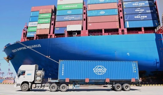 Bộ Công Thương vào cuộc "giải cứu" gần 500 container chè mắc kẹt tại Pakistan