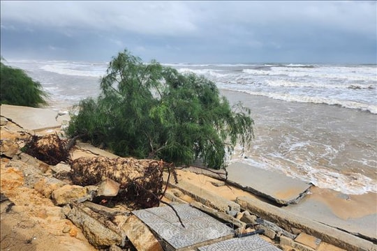 Huế: Nguy cơ biển xâm thực sâu trong đất liền do gió mạnh, sóng lớn
