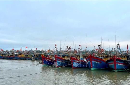Quảng Trị không để tàu cá không đủ điều kiện ra khơi
