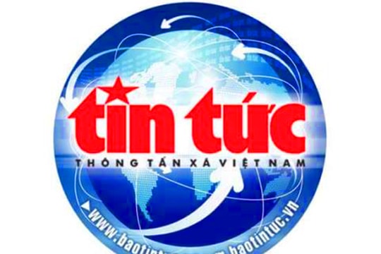 Thể dục Việt Nam ghi dấu ấn đậm nét tại SEA Games 33