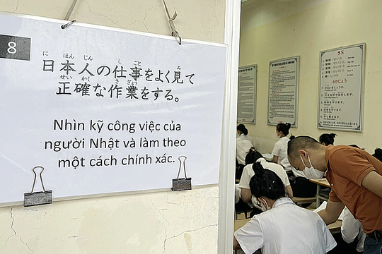 Gánh nặng 'kiếm tiền thay cả gia đình' bào mòn người xa xứ