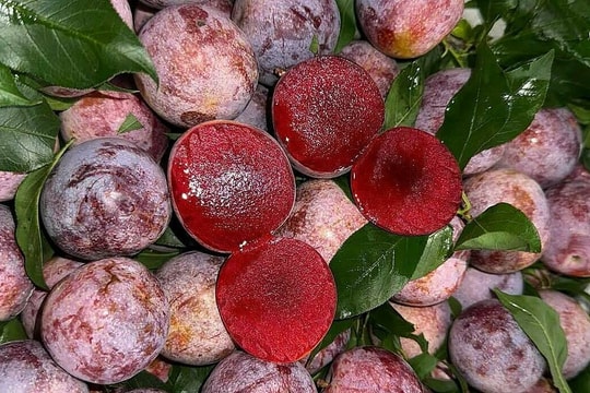 Lưu ý khi người tiểu đường ăn trái cây