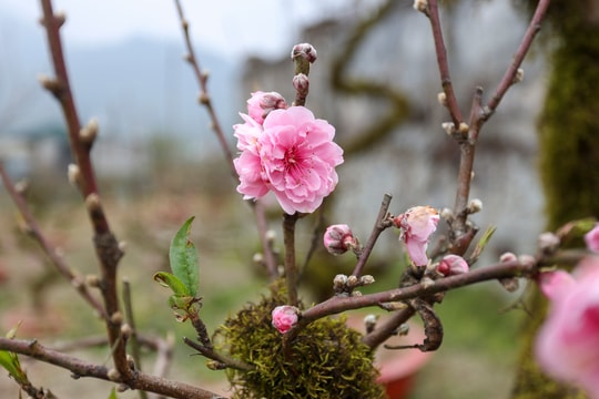 6 nhầm lẫn thường gặp về thưởng Tết 2026