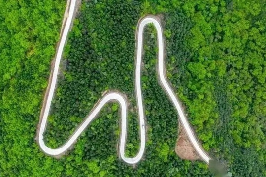 Phát hiện đoạn mới của con đường không mọc cỏ suốt 2.200 năm