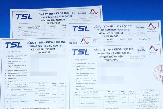 Vợ chồng cựu thư ký lãnh đạo Văn phòng Chính phủ bị truy tố