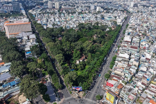 Đề xuất 4 tên gọi công viên đặt đài tưởng niệm nạn nhân Covid-19 ở TP HCM