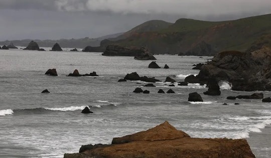 Chấn động "Tam giác Đỏ": Cá mập trắng liều lĩnh tấn công người lướt sóng